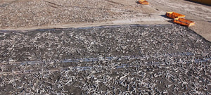 The most pristine anchovies from Korea