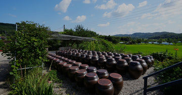 A Bowl of Heritage: The Story Behind Doenjang Jjigae