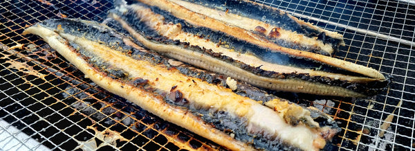 How-to-Grill-Eel-Perfectly-Every-Time Kevin's Choice