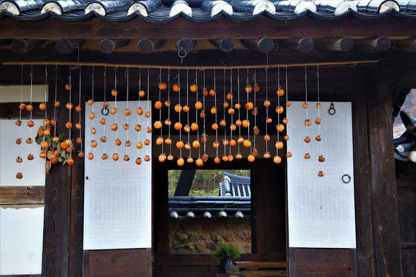 The-Wisdom-of-Autumn-6-Korean-Proverbs-that-Celebrate-the-Season Kevin's Choice
