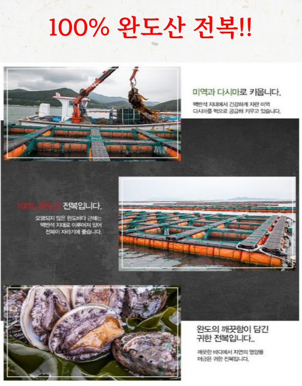 완도 자숙전복 PREMIUM COOKED WANDO ABALONE 9oz(260g)