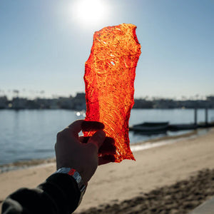 People's Choice Hot & Spicy Beef Jerky 매운맛 육포_3oz(84g)