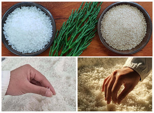함초소금 Sea Asparagus Salt_14.1oz(400g)