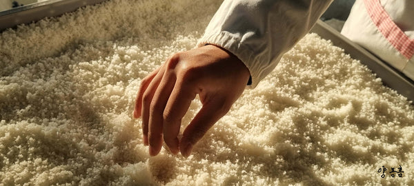 함초소금 Sea Asparagus Salt_14.1oz(400g)