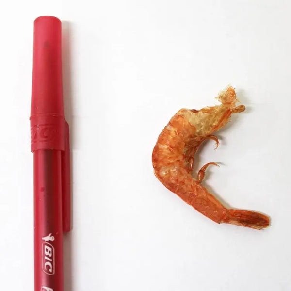 업소용 두절 분홍새우 Korean pink shrimp size comparison wholesale