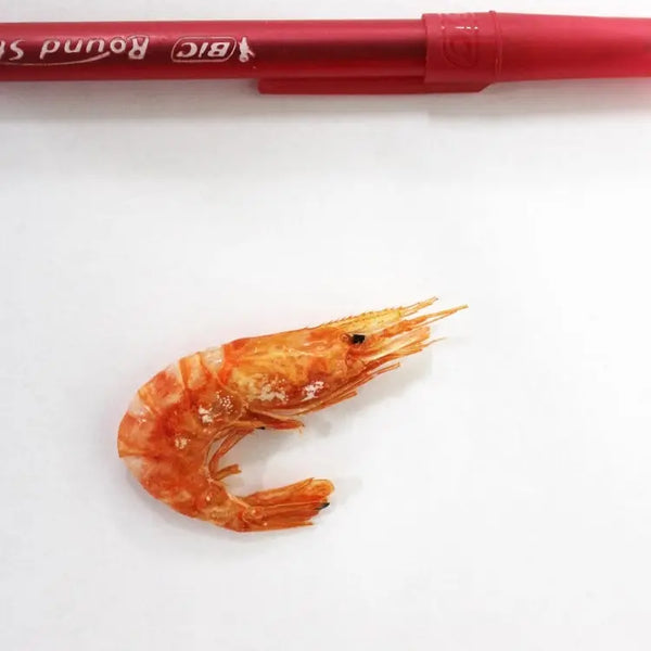 미국 도매 건어물 업소용 새우 Korean pink shrimp wholesale