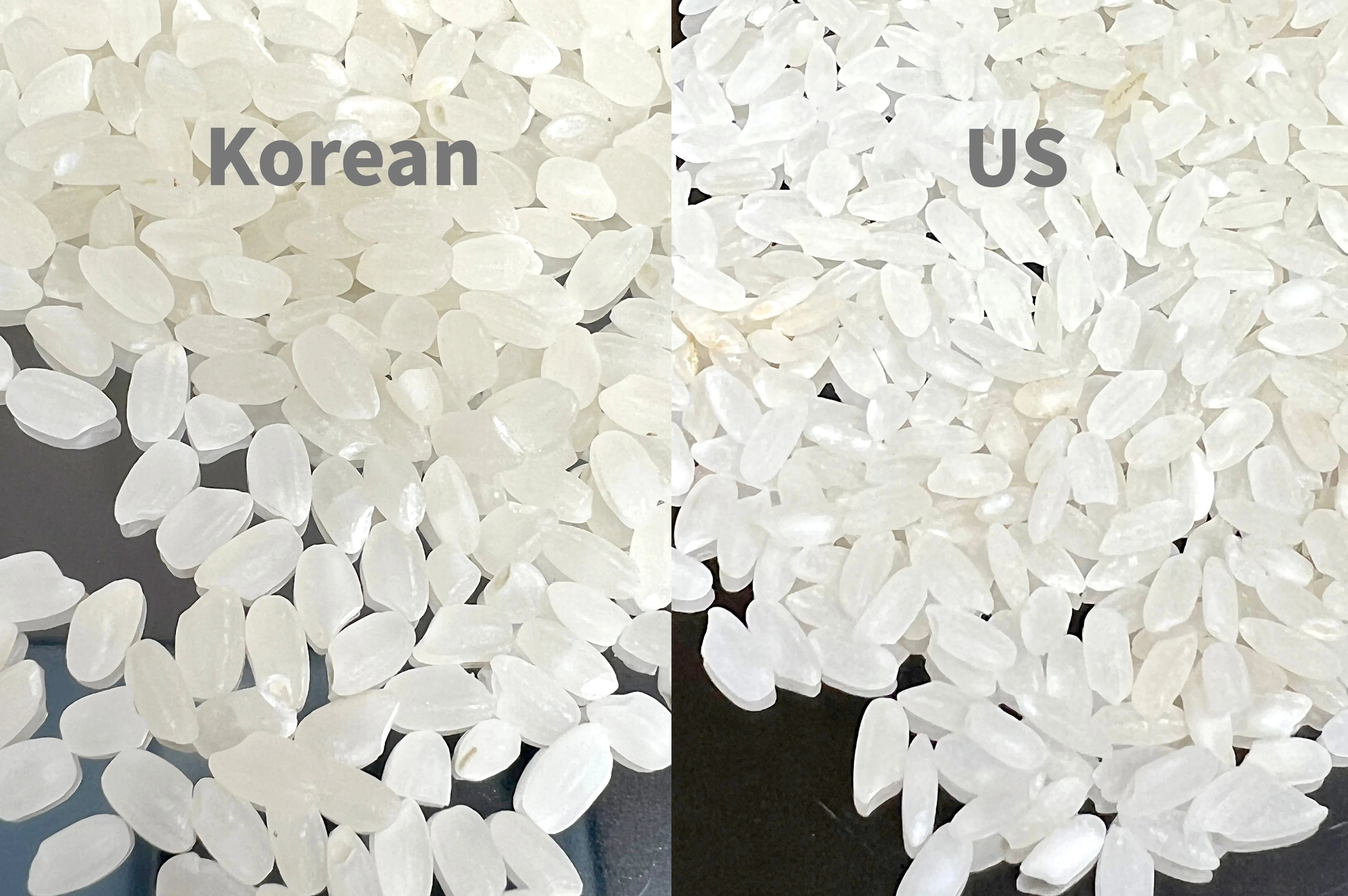Sam Kwang Rice Premium Korean Samgwang Rice 특등급 삼광 쌀 2.2lb (1kg) - Kevin's Choice
