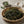 제주 말린 유채나물 Jeju Dried Rapeseed Greens_1.8oz(50g)