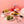 과일 양갱(복숭아/자두 맛 선택) Jelly Bar (Peach/Plum Flavor)_1.4oz(40g)
