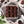 cacao chocolate mochi 카카오 초코렛 인절미 떡 간식 미국