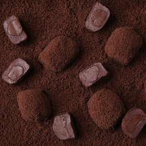 cacao chocolate mochi 카카오 초코렛 인절미 떡 간식 미국