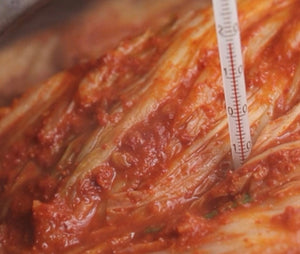 살아있는 김치 식감! 프리미엄 김치찌개 | PREMIUM KIMCHI JJIGAE_17.6oz(500g)