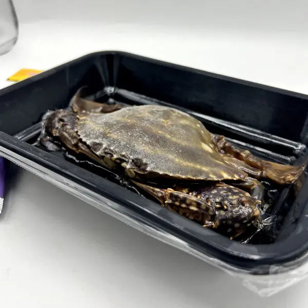 Jjaebo Soy Crab (Single Serve) 째보 혼밥 간장게장 12.3oz (350g) Kevin's Choice