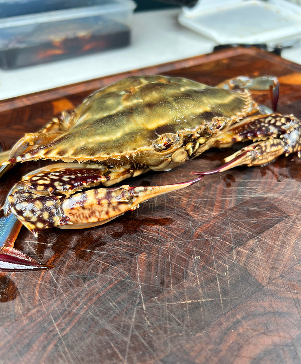 Soy Crabs 2 Sets 째보식당 간장게장 2마리 세트