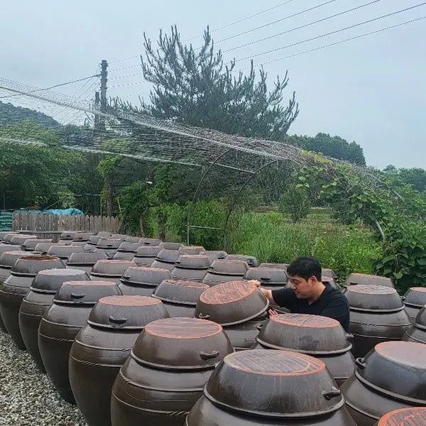 항아리숙성 전통 된장 고추장을 미국에서 korean traditional gochujang maker