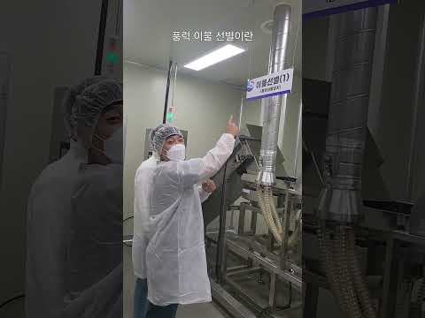 korean anchovy clean