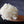 [무료배송 | Free shipping] 특등급 삼광쌀_20kg KOREAN SAMGWANG RICE: EXTRA FANCY_20kg