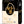 [무료배송 | Free shipping] 특등급 삼광쌀_20kg KOREAN SAMGWANG RICE: EXTRA FANCY_20kg