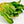 korean wild leek