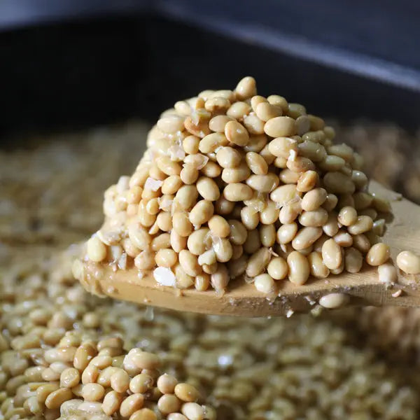 케빈스초이스 전통 청국장 콩 100% 한국산 soybean being fermented