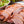 히코리 훈연 훈제오리 Hickory Smoked Duck_6oz(170g)