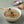 Abalone Porridge 전복죽 17.6oz. (500g)