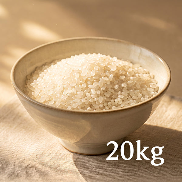 [무료배송 | Free shipping] 특등급 삼광쌀_20kg KOREAN SAMKWANG RICE: EXTRA FANCY_20kg