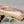 SEMI-DRIED TONGUE SOLE 2CT