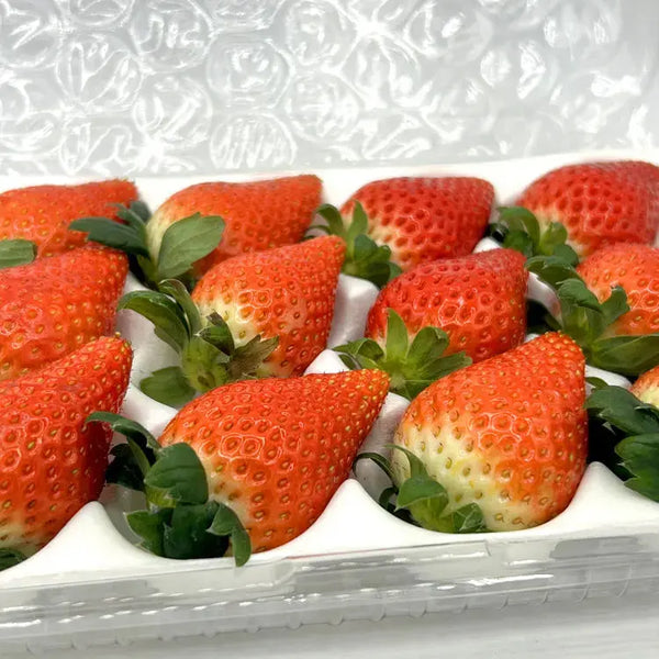 ripe strawberry from korea 한국 비타베리