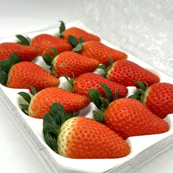 (Receive by Dec. 18~19th) 비타베리 Vitaberry from Nonsan 12pcs 11.6oz (330g)